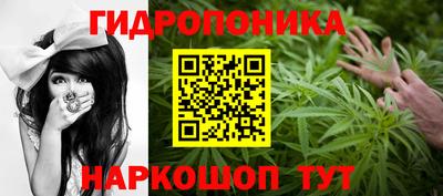 PSILOCYBIN Краснознаменск