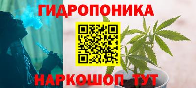 PSILOCYBIN Краснознаменск