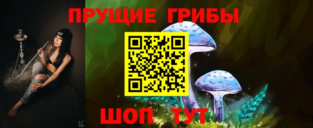 Галлюциногенные грибы MAGIC MUSHROOMS Назрань