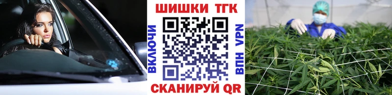 МАРИХУАНА SATIVA & INDICA  как найти   Назрань 