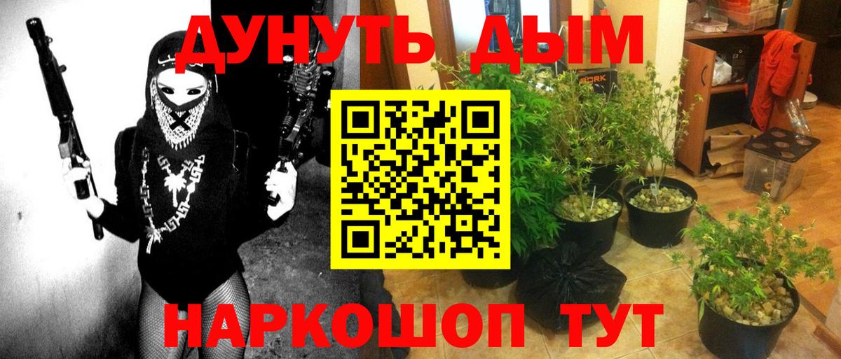 Бошки марихуана VHQ  Бошки марихуана White Widow  Марихуана White Widow  Шишки марихуана VHQ  Вход с VPN  Назрань 